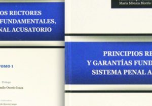 Principios Rectores y Garantías Fundamentales, Sistema Penal Acusatorio