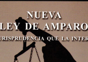 Nueva Ley de Amparo