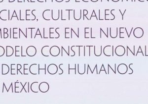 Los Derechos Económicos, Sociales, Culturales y Ambientales en el Nuevo Modelo Constitucional de Derechos Humanos en México