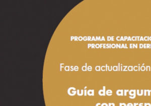 Guía de Argumentación con Perspectiva de Género