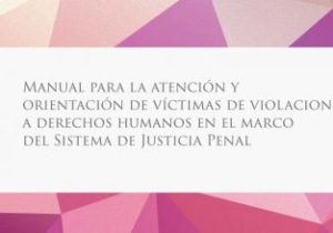 Manual para la Atención y Orientación de Víctimas de Violaciones a Derechos Humanos en el Marco del Sistema de Justicia Penal