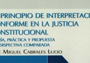 El Principio de Interpretación Conforme en la Justicia Constitucional