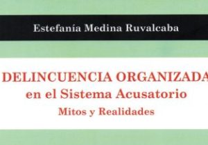 Delincuencia Organizada en el Sistema Acusatorio