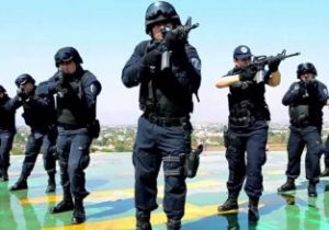 Procedencia Constitucional del Mando Único de Policía Estatal