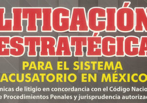 Litigación Estratégica para el Sistema Acusatorio en México