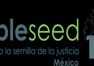 Se une la comunidad jurídica para otorgar asesoría gratuita a damnificados