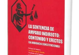 La Sentencia de Amparo Indirecto: Contenido y Efectos.