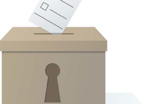 ¿Qué se votará el 1 julio?