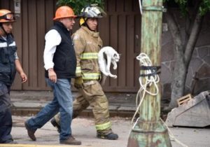 7 de cada 8 llamadas al 911 son falsas