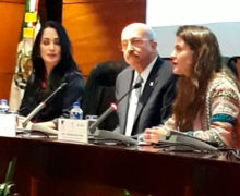 La discriminación tiene en todos los casos el mismo origen: Chaurand