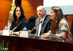 La discriminación tiene en todos los casos el mismo origen: Chaurand