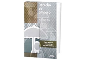 Derecho de Amparo