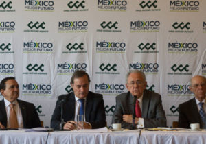 La Consulta del NAIM es inconstitucional: CCE