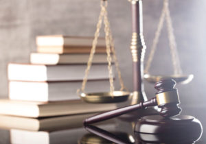 Importancia de la protección jurídica y la supremacía constitucional.