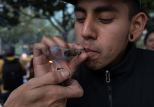 Inconstitucional prohibición absoluta del consumo de marihuana: SCJN