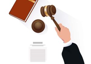 La Democracia y la Interpretación de las Leyes