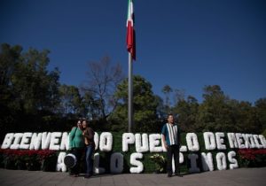 La función jurídica de la vaguedad en la política