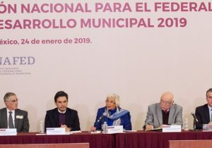 Federalismo participativo