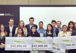 Instituto Nacional del emprendedor por desaparecer