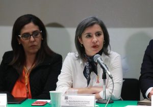 Atender violencia a mujeres debe ser prioridad: Briceño Zuloaga