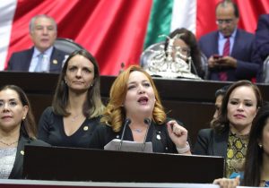 Urge aclarar reglas de operación del Insabi: Annia Gómez