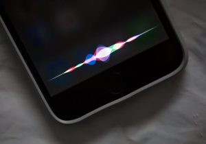 Estonia podría permitir que Siri o Alexa realicen trámites gubernamentales