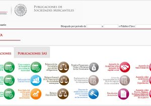 Publicaciones de Sociedades Mercantiles