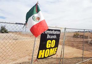 Negativo para la Inversión Cancelar el Proyecto Constellation en BC