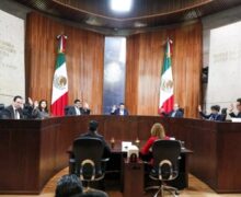 La importancia de la consulta en materia electoral