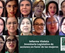 Presentan el “Informe Violeta” de acciones legislativas en favor de las mujeres