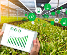 Tecnología e innovación agrícola para una mayor productividad del campo