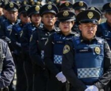 Principios constitucionales de la actuación del policía